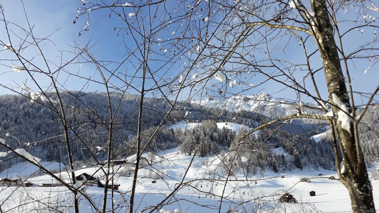 Haus Ruetzbach Apartment Neustift im Stubaital Bagian luar foto