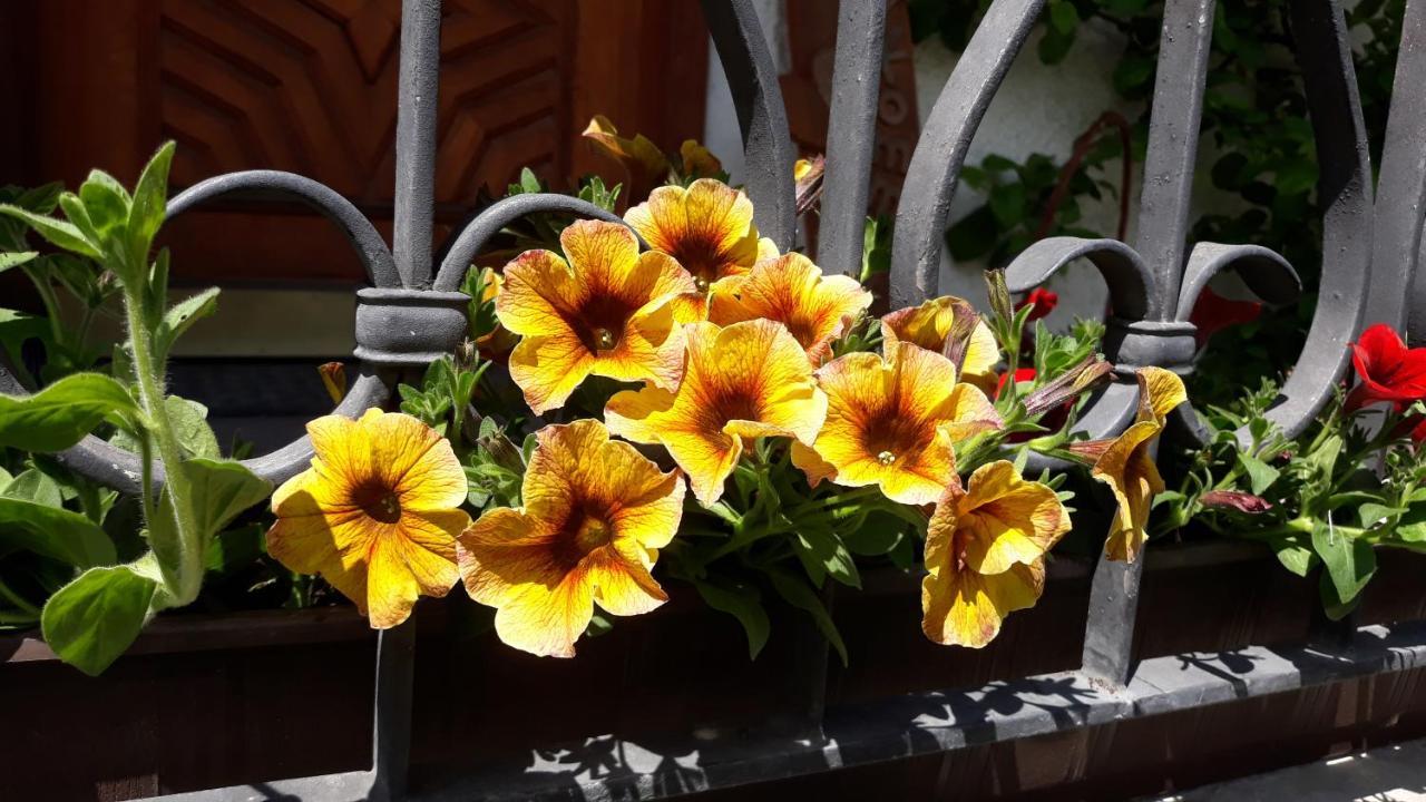 Haus Ruetzbach Apartment Neustift im Stubaital Bagian luar foto